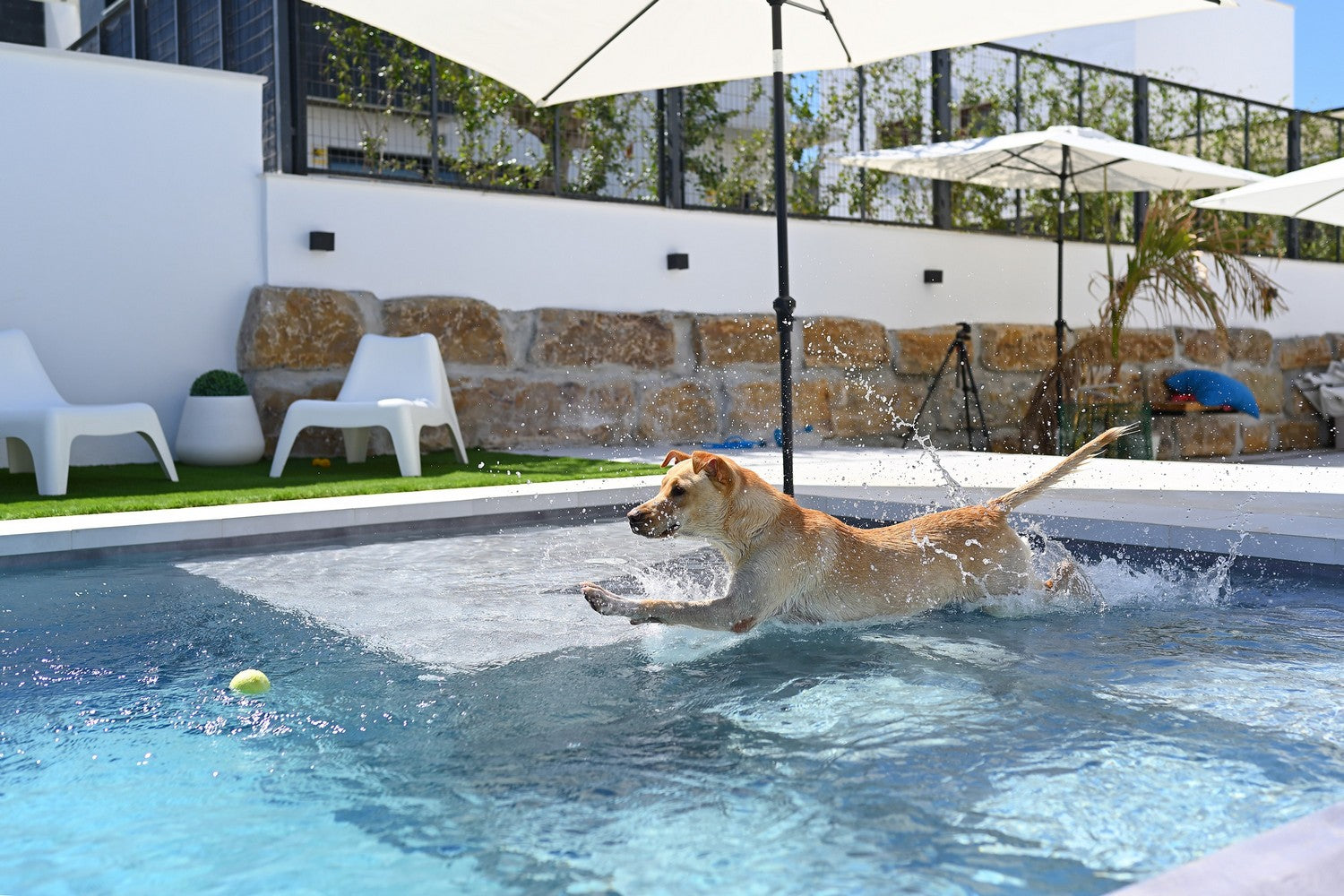 RENOLIT ALKORPLAN VOGUE Poolfolie | 25 x 1,65 m Rolle (41,25 m²)