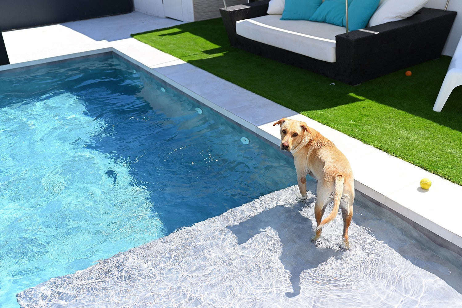 RENOLIT ALKORPLAN VOGUE Poolfolie | 25 x 1,65 m Rolle (41,25 m²)