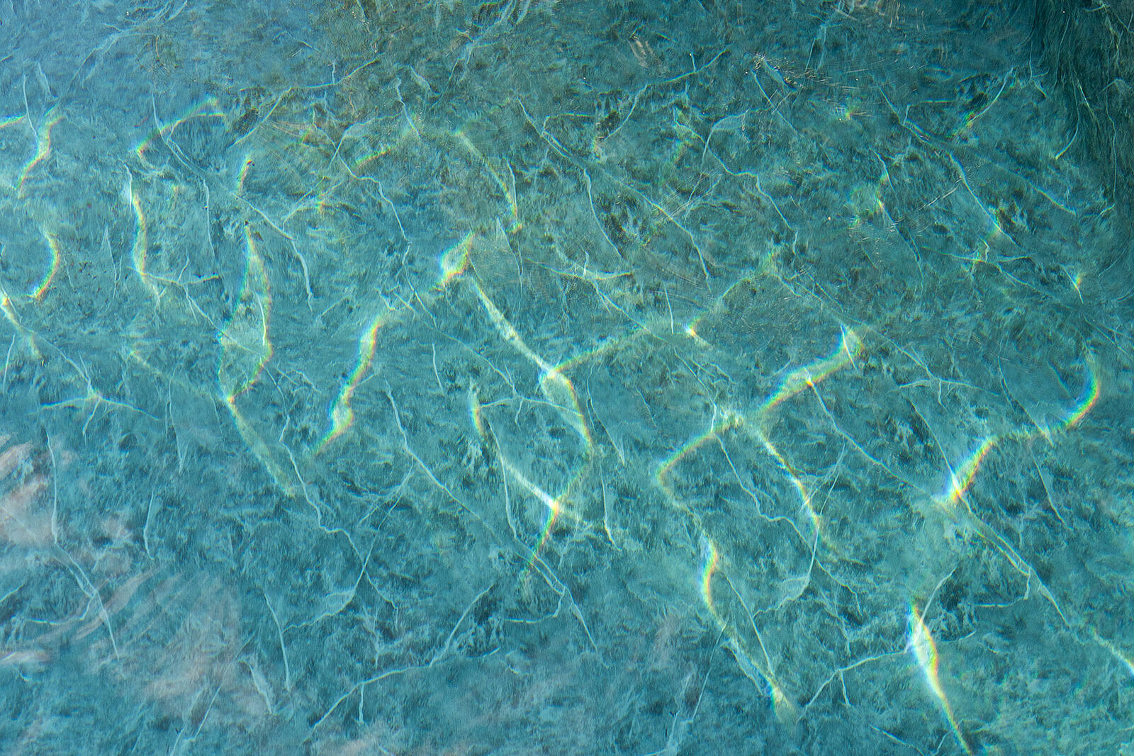 RENOLIT ALKORPLAN ALIVE Poolfolie | 25 x 1,65 m Rolle (41,25 m²)