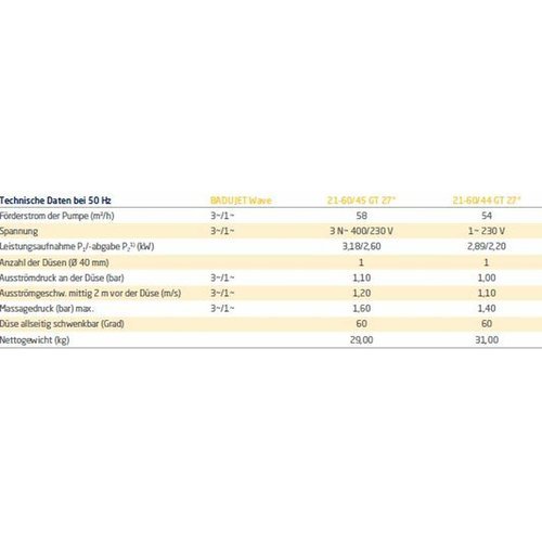 BADU JET WAVE Gegenstromanlage