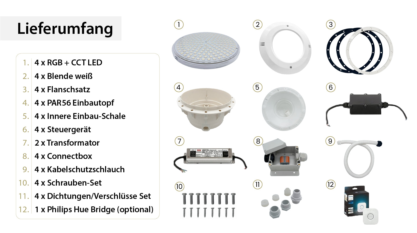 Smart Home Poollampen RGB + CCT | Philips Hue & Amazon Alexa | PAR 56